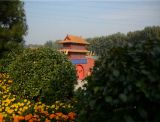 北京有哪些陵园公墓？昌平区的九里山公墓二区是正规的吗？