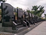 外地人在北京选墓地需要北京户口吗？需要什么条件呢？