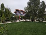 北京周边哪些公墓有树葬？三河市灵山宝塔陵园有没有树葬？