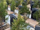 延庆墓地价格，永宁陵园位置在哪，墓地价格多少钱？