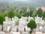 平谷墓地陵园有哪些？平谷墓地价格是多少？