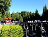 60岁前可以购买墓地吗？购买寿穴的条件都有哪些？