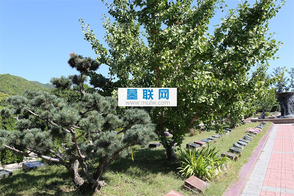 天寿陵园树葬景观