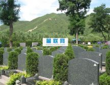 天寿陵园树葬景观