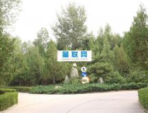 中华永久陵园树葬景观